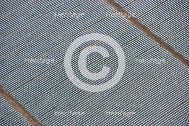 Polytunnels at Wood Bevington Farm, Salford Priors, Warwickshire, 2007. Artist: Historic England Staff Photographer.