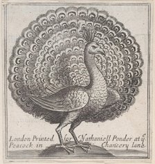 Trade card for Nathaniell Ponder, Bookseller, 18th century., Creator: Anon.