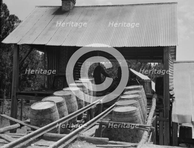 Turpentine still in the Piney Woods near Valdosta, Georgia, 1937. Creator: Dorothea Lange.