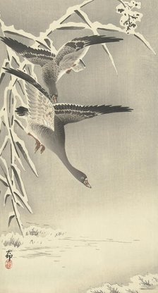 Two white-fronted geese in snowy landscape. Creator: Ohara, Koson (1877-1945).