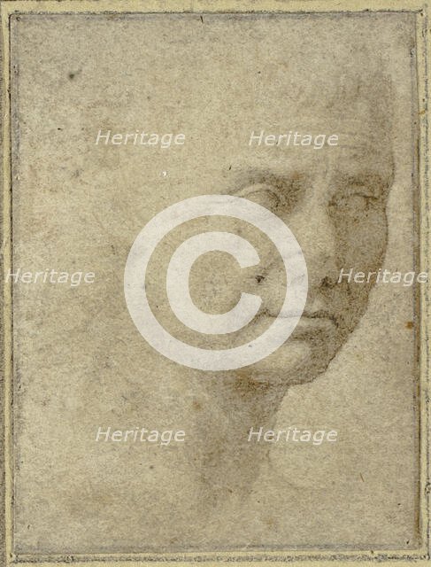 Head of a Man in Three-quarters Profile, n.d. Creator: Unknown.