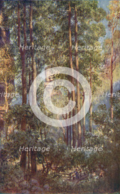 'A Bush Valley in New South Wales', 1923. Creator: Unknown.