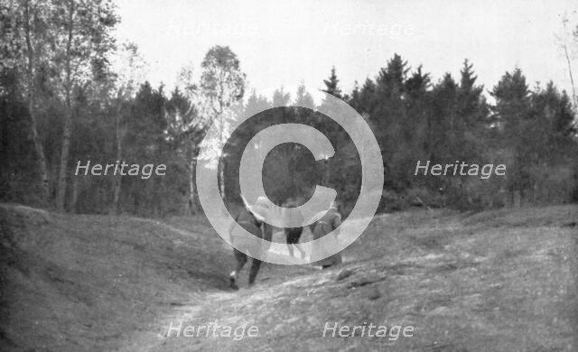 ''En Foret D'Argonne; Passage dangereux a travers une clairiere', 1915. Creator: Unknown.