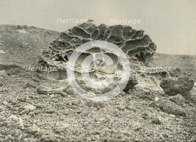 'A Weathered Kenyte Boulder Near the Winter Quarters', c1908, (1909).  Artist: Unknown.