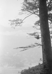 Travel views of Japan and Korea, 1908. Creator: Arnold Genthe.