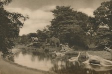 'Where the Beasts of Prehistory Lurk By the Lake in the Palace Grounds', c1935. Creator: Unknown.