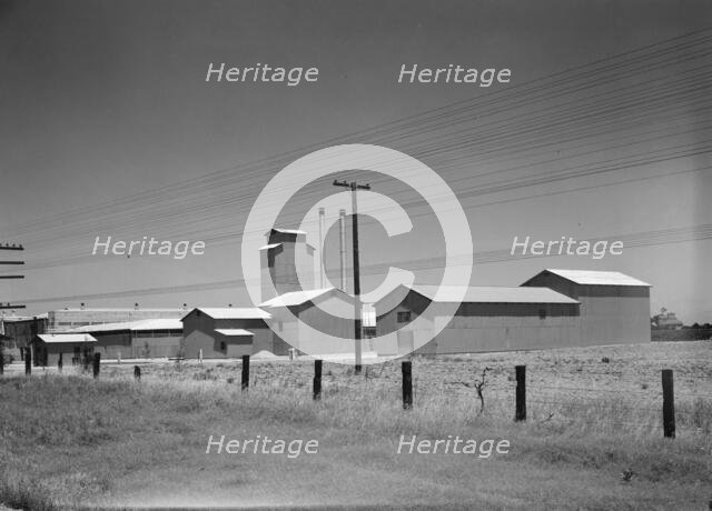Winery belonging to Muscat Cooperative, on US 99. between Tulare and Fresno, California, 1939. Creator: Dorothea Lange.