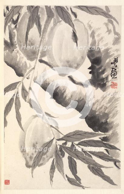 Peaches, 1788. Creator: Min Zhen (Chinese, 1730-after 1788).