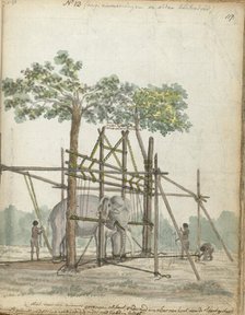 Elephant stable, 1786. Creator: Jan Brandes.