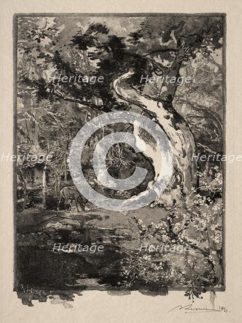 Le Clovis, Plateau de Bellecroix, 1890. Creator: Auguste Louis Lepère (French, 1849-1918).