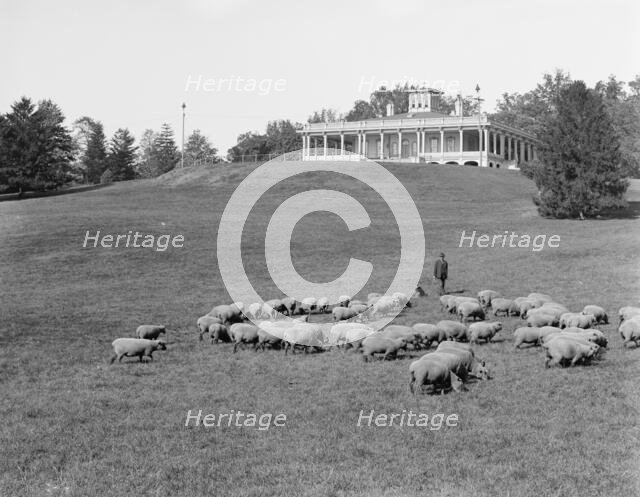 South terrace and Mansion, Druid Hill Park, Baltimore, Md., c1906. Creator: Unknown.