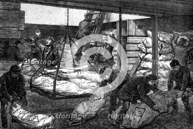 Landing Australian frozen meat from Sydney in the South West India Dock, Millwall, 1881. Creator: Unknown.
