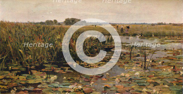 'Water Lilies', c1870. Artist: James Aumonier.