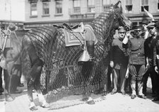 Gen. Grant's horse, 1912. Creator: Bain News Service.