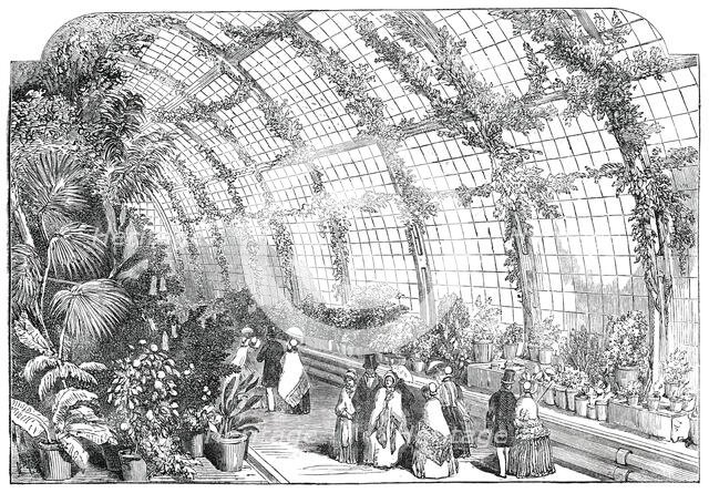 The Great Conservatory in the Gardens of the Horticultural Society, at Chiswick, 1850. Creator: Unknown.