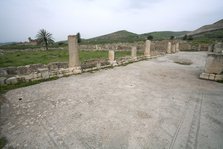 The Monumental Esplanade at Bulla Regia, Tunisia. Artist: Samuel Magal