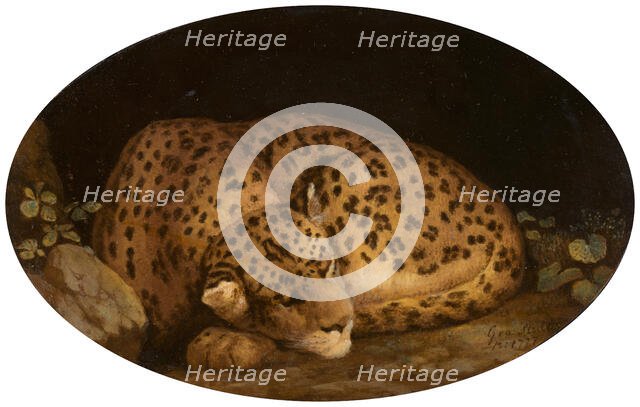 Sleeping Leopard, 1777. Creator: George Stubbs.