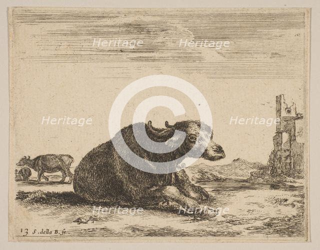 Plate 13: buffalo lying down, from 'Various animals' (Diversi animali), ca. 1641. Creator: Stefano della Bella.