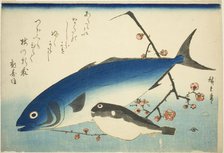 Yellowtail, blowfish, and plum branch, c. 1840/42. Creator: Ando Hiroshige.