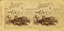 Rapid transit in southern Mississippi, [Large group of children on an oxcart], (1868-1900?). Creator: Unknown.