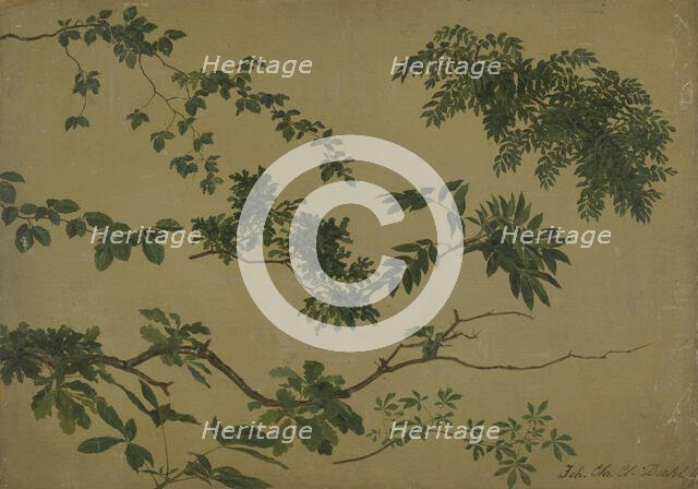 Study of Twigs and Leaves, 1812-1818. Creator: Johan Christian Dahl.