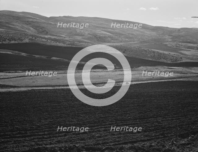 Newly-plowed fields on land...member of Ola self-help sawmill co-op, Gem County, Idaho, 1939. Creator: Dorothea Lange.
