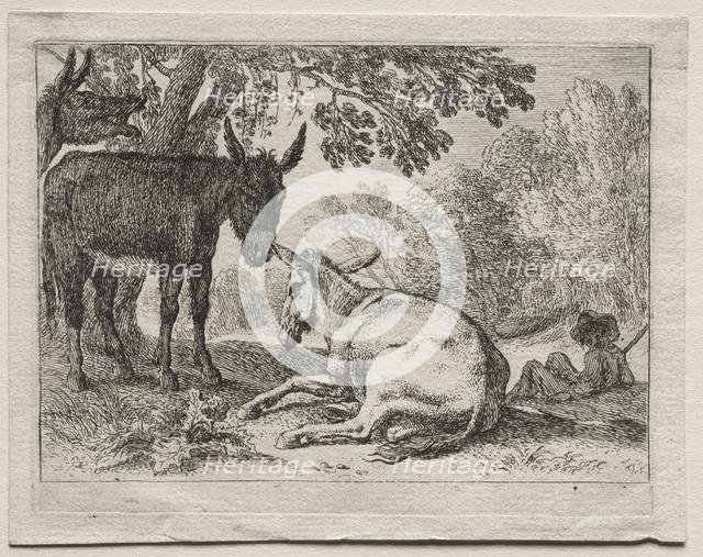 Donkeys. Creator: Herman van Swanevelt (Dutch, c. 1600-1655).