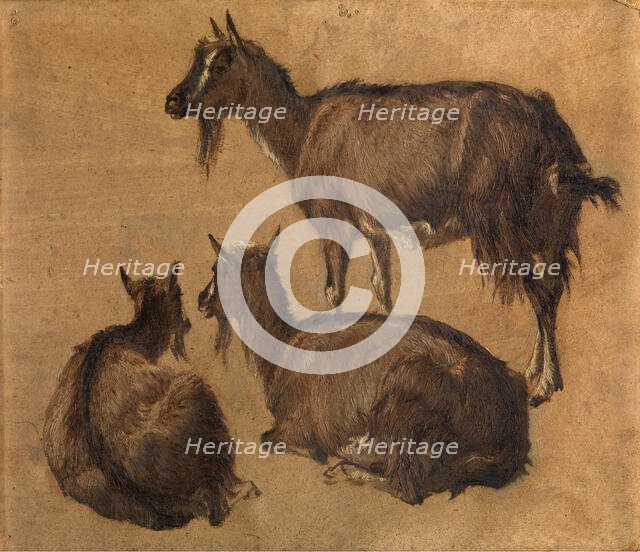 Goats, c1870s. Creator: Andre Plumot.