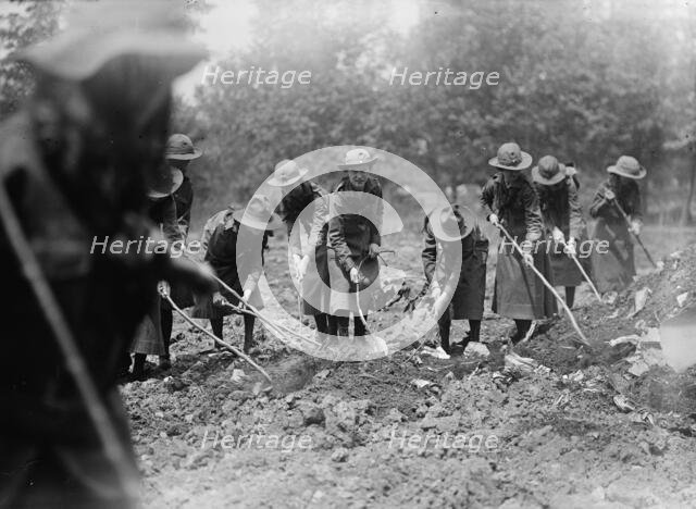 National Emergency War Gardens Com. - Girl Scouts Gardening at D.A.R., 1917. Creator: Harris & Ewing.
