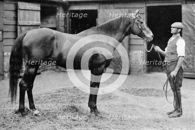 'Foxhall', 1880-1904, (1911). Artist: Unknown.