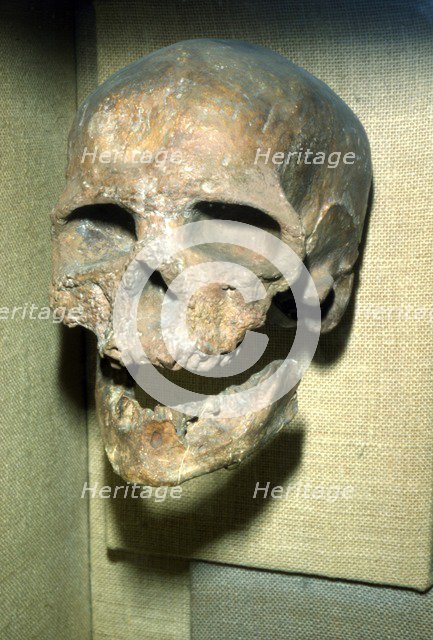 Cromagnon Skull Upper Paleolithic from France, c50,000BC-c10,000 BC. Artist: Unknown.