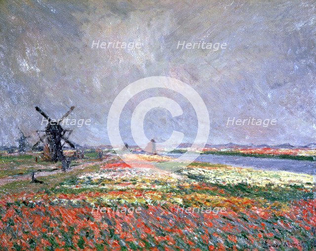 'Tulip fields near Leiden', 1886. Artist: Claude Monet