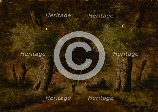 Landscape, second half of 19th century. Creator: Unknown.