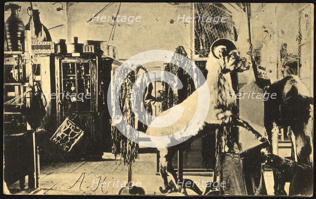 Iakutsk: Museum, 1904-1917. Creator: Unknown.