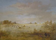 Elk Grazing on an Autumn Prairie, 1846-1848. Creator: George Catlin.
