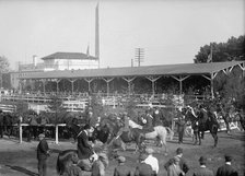 Horse Shows - General Views, 1912. Creator: Harris & Ewing.