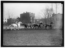 Society Circus, between 1910 and 1917. Creator: Harris & Ewing.