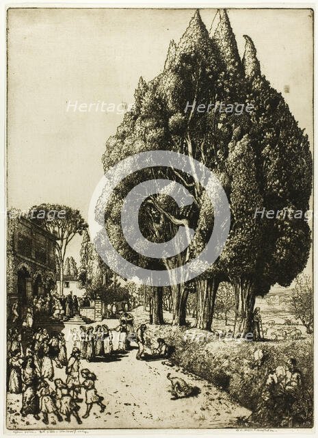 Cypress Grove, 1904. Creator: Donald Shaw MacLaughlan.