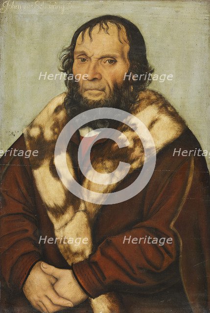 Portrait of Johannes Scheyring (1454-1516), 1529.