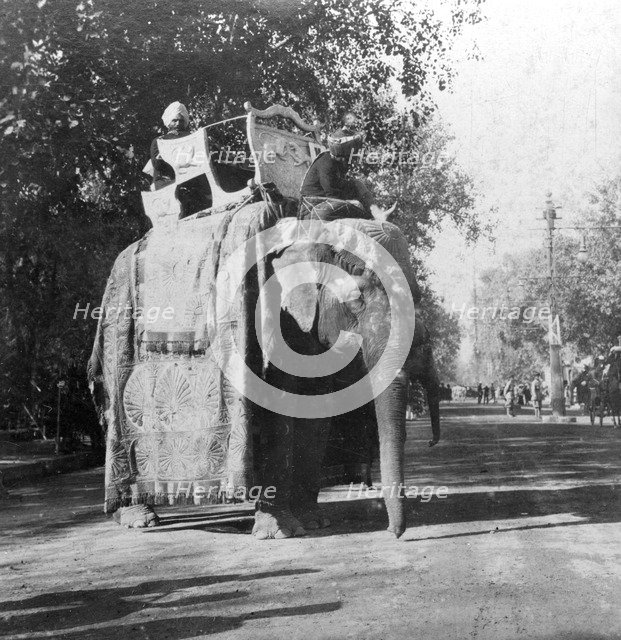 An elephant outside the railway station at Delhi, India, 1900s.Artist: H Hands & Son