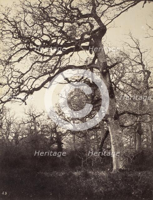 Carrefour De L'Epine, #43, Printed 1858 circa. Creator: Eugène Cuvelier.