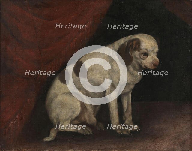 Seated dog, probably 19th century. Creator: Unknown.