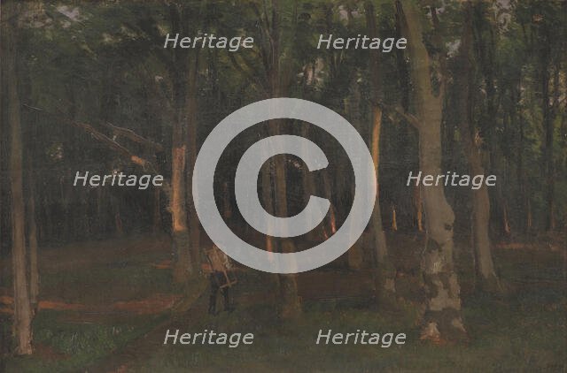 Forest at sunset, 1889.
 Creator: Hans Smidth.