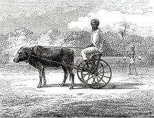 Ramasawmy going to Bazaar, Madras, 1876. Creator: Unknown.