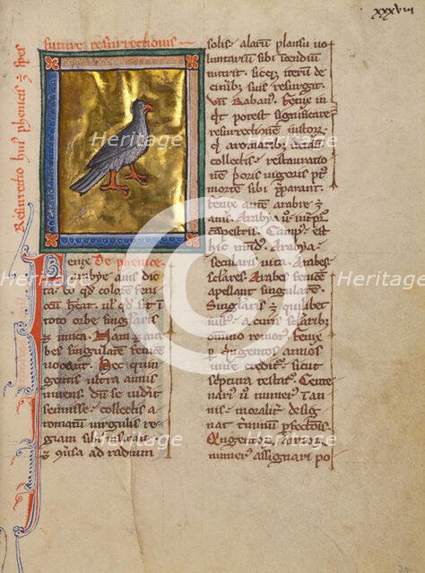 A Phoenix; Bestiary, about 1270. Creator: Unknown.
