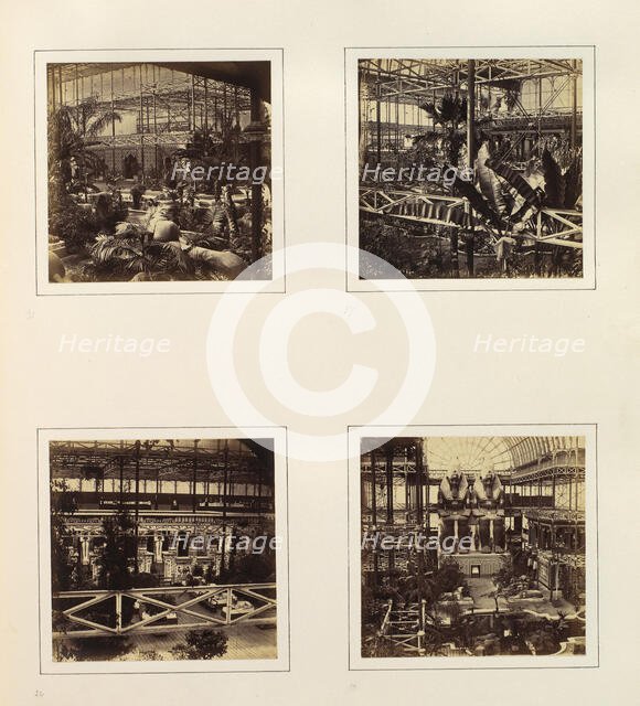 [View of Sphinxes Among Foliage; View of Tropical Foliage; Egyptian Court from North-e..., ca. 1859. Creator: Attributed to Philip Henry Delamotte.