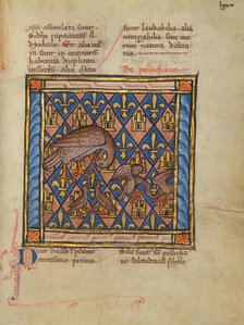 A Pelican Feeding her Young; Bestiary, about 1270. Creator: Unknown.