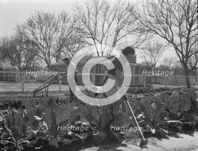 El Monte federal subsistence homesteads, California, 1936. Creator: Dorothea Lange.