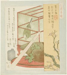 Warbler in a cage, from the series "A Series for the Hanazono Group (Hanazono bantsuzuki)", 1823. Creator: Totoya Hokkei.