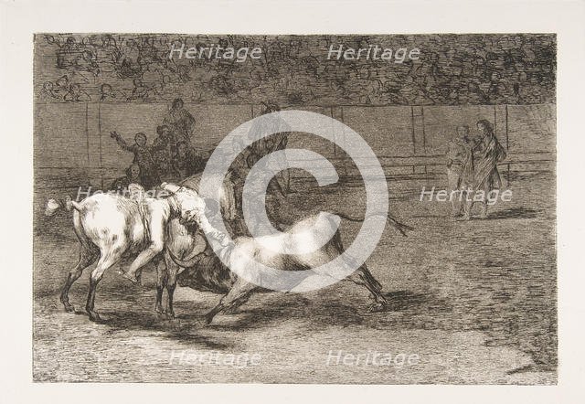 Plate 23 from the 'Tauromaquia':Mariano Ceballos, alias the Indian, kills the bull from hi..., 1816. Creator: Francisco Goya.